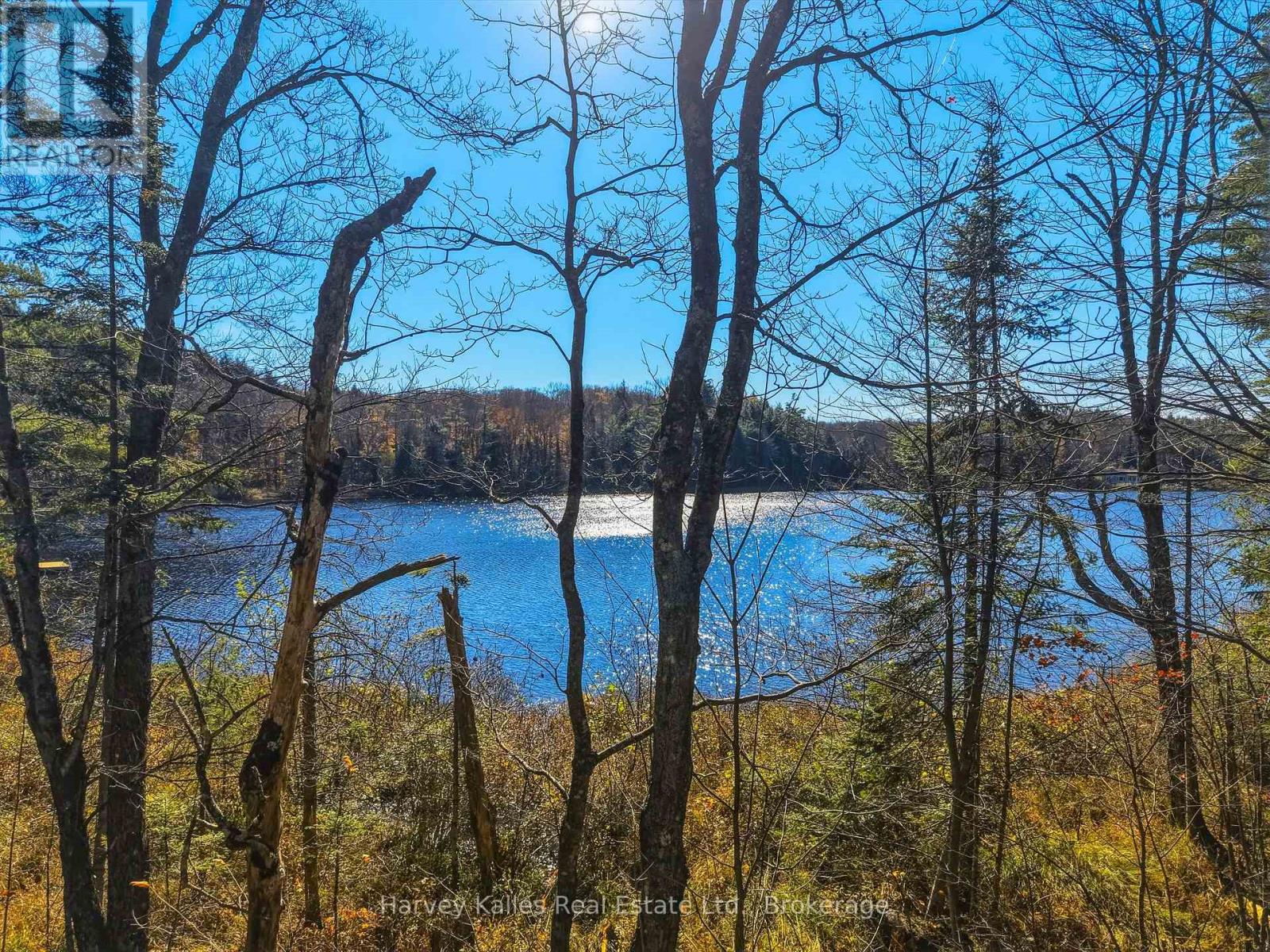 0 Frau Lane, Bracebridge, Ontario  P1L 1X3 - Photo 8 - X14108094