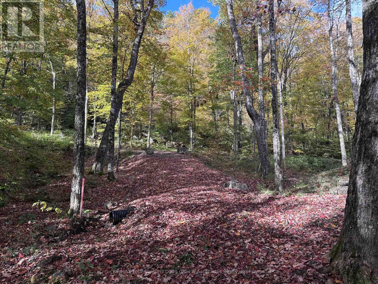 Pin 48064-0345 Sugar Bush Road, Lake Of Bays (Franklin), Ontario  P0A 1H0 - Photo 5 - X14108174