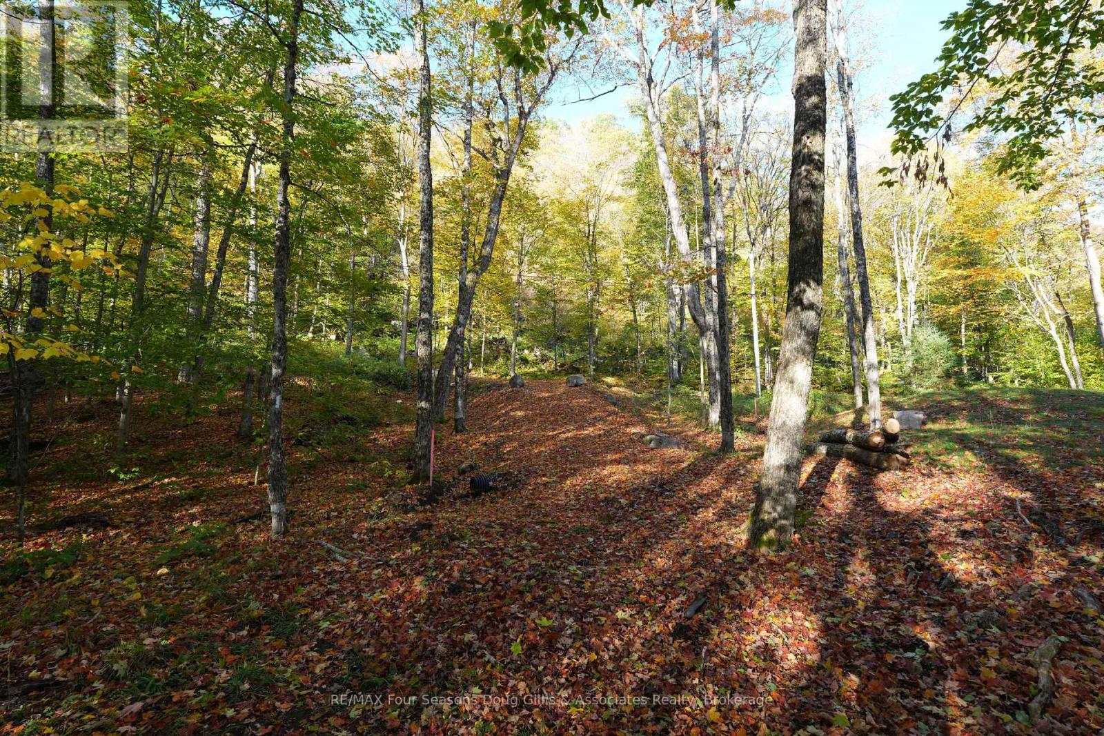 Pin 48064-0345 Sugar Bush Road, Lake Of Bays (Franklin), Ontario  P0A 1H0 - Photo 7 - X14108174