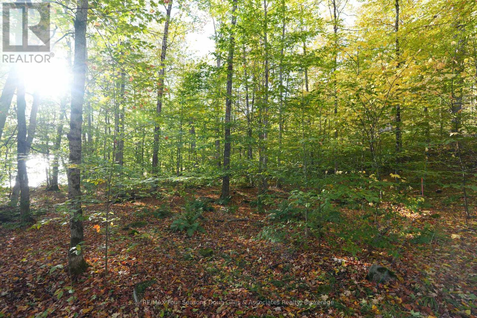 Pin 48064-0345 Sugar Bush Road, Lake Of Bays (Franklin), Ontario  P0A 1H0 - Photo 8 - X14108174