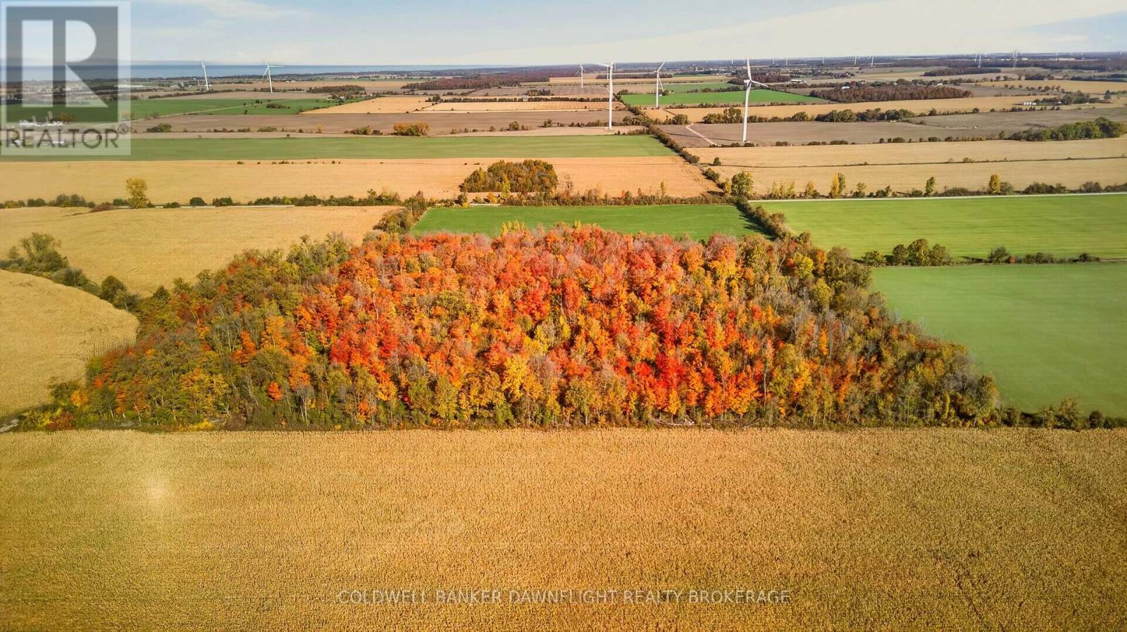 Part Lot 25 Danceland Road, Bluewater, Ontario  N0M 2T0 - Photo 6 - X14099234