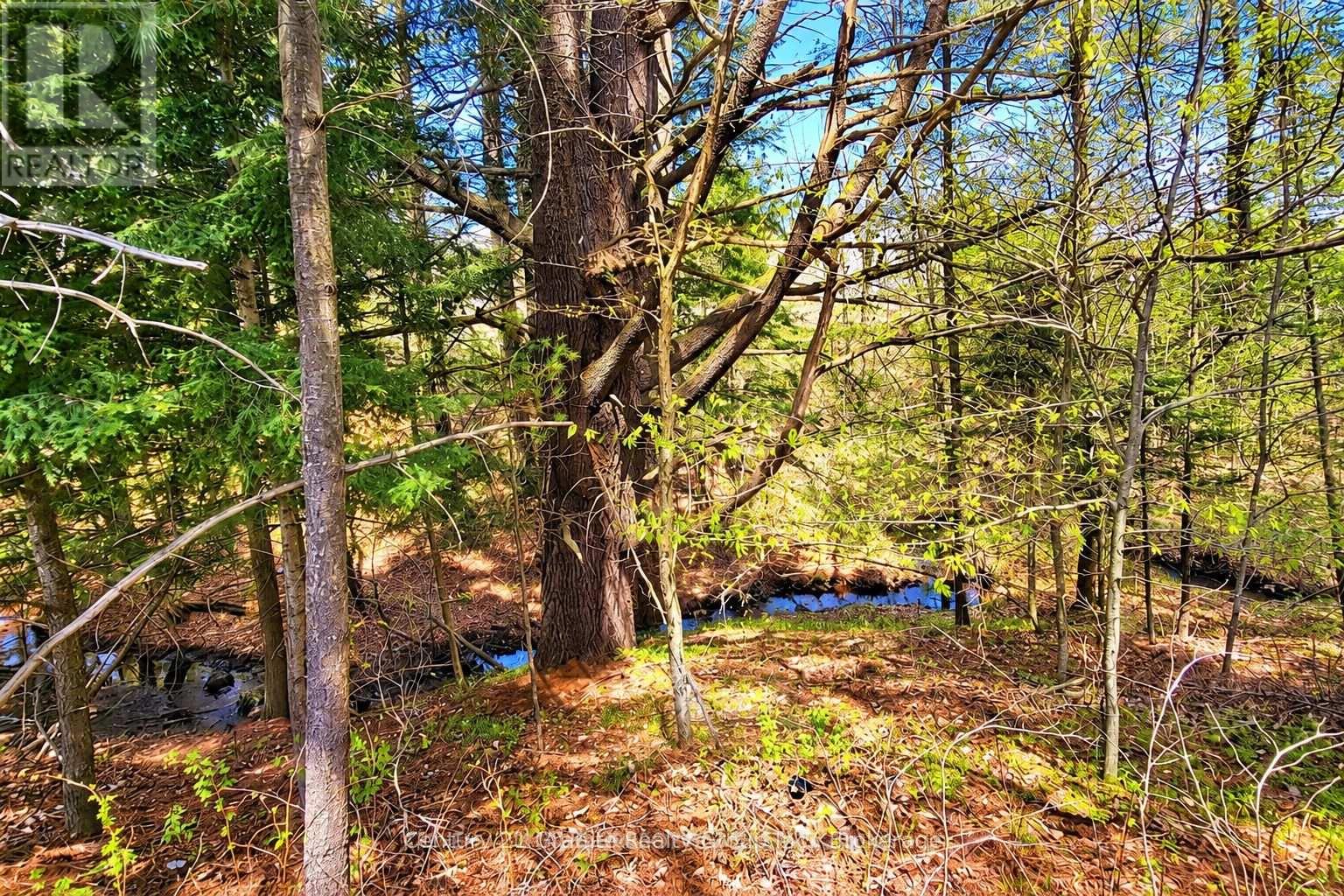 9 Highland Gate Boulevard, Minden Hills, Ontario  K0M 2K0 - Photo 46 - X14108470