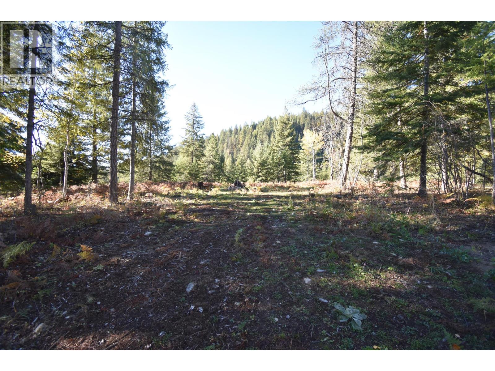 1025 Kelly Drive, Shoreacres, British Columbia V1N 4P5 - Photo 23 - 10403903