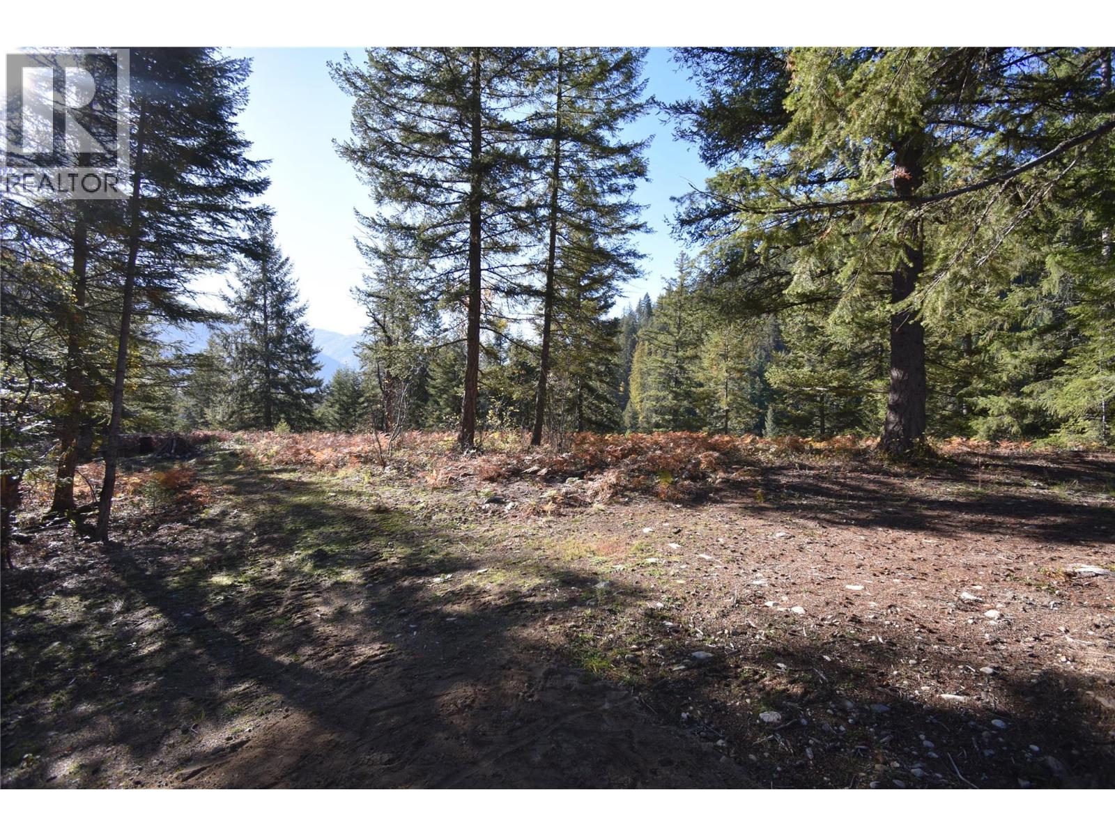 1025 Kelly Drive, Shoreacres, British Columbia V1N 4P5 - Photo 37 - 10403903