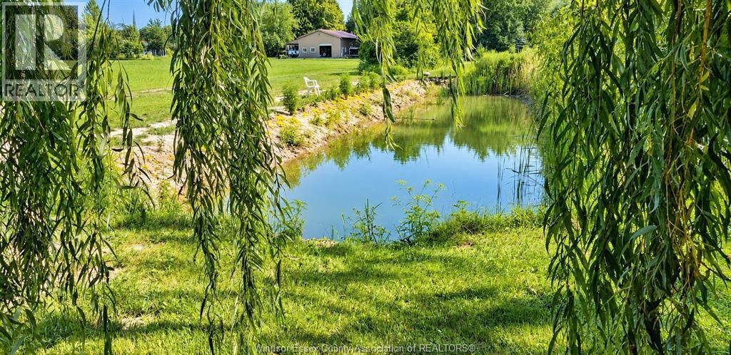 2890 County Road 20 East, Harrow, Ontario  N0R 1G0 - Photo 46 - 26026063