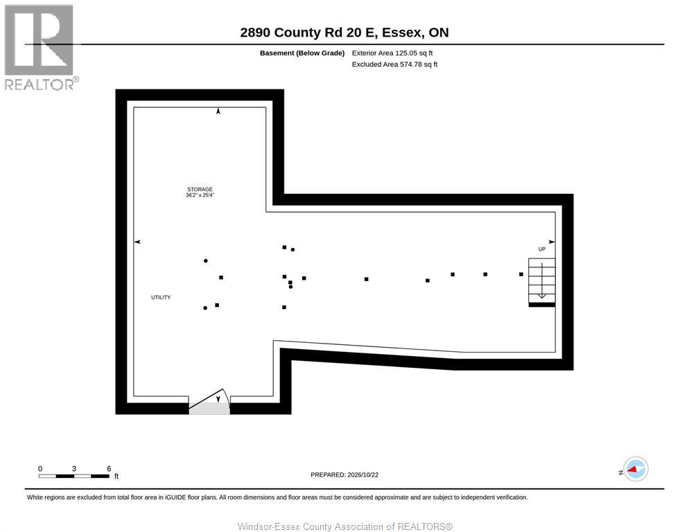 2890 County Road 20 East, Harrow, Ontario  N0R 1G0 - Photo 49 - 26026063