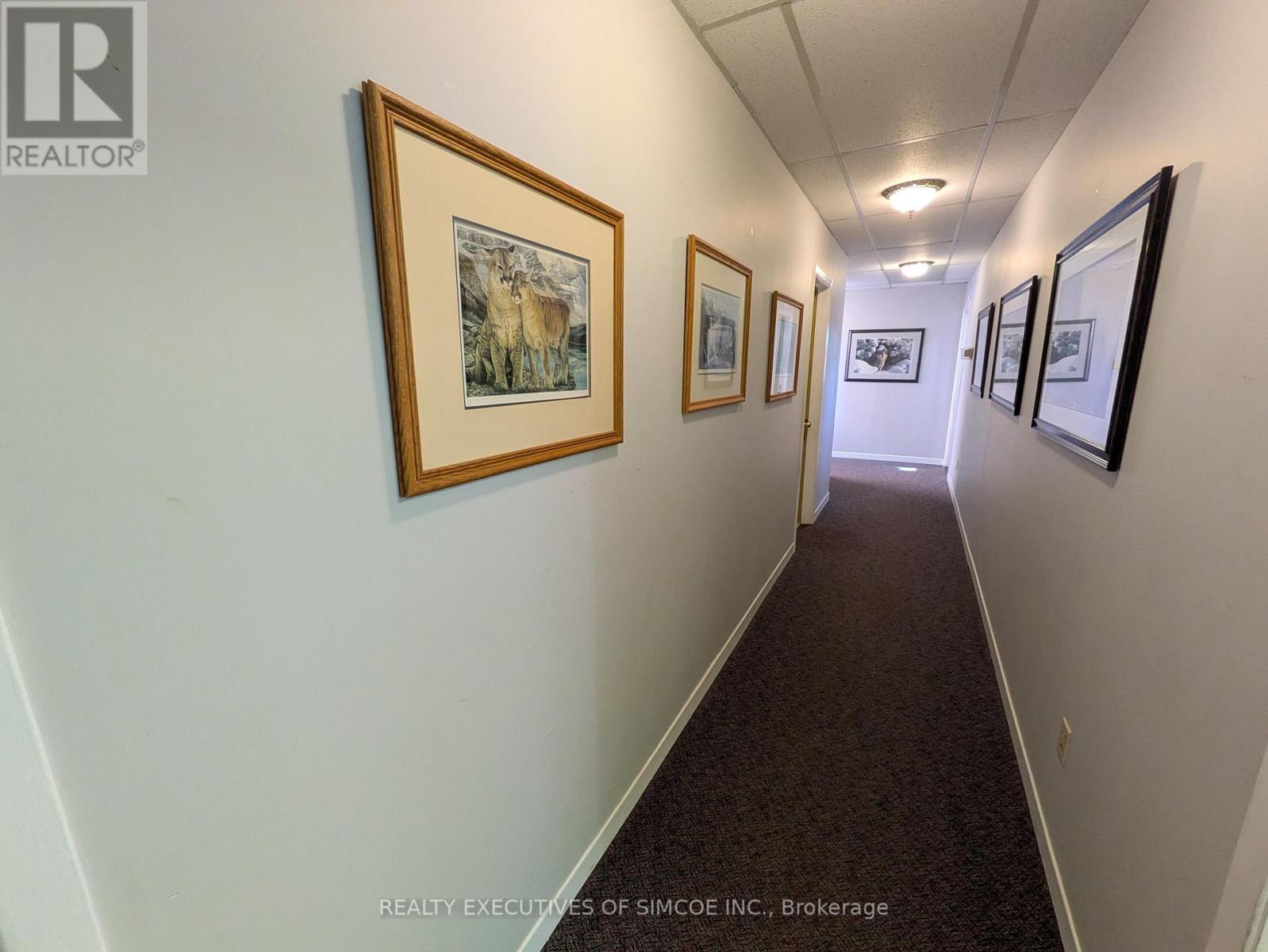 202 - 28 Owen Street, Barrie, Ontario  L4M 3G7 - Photo 4 - S14108842