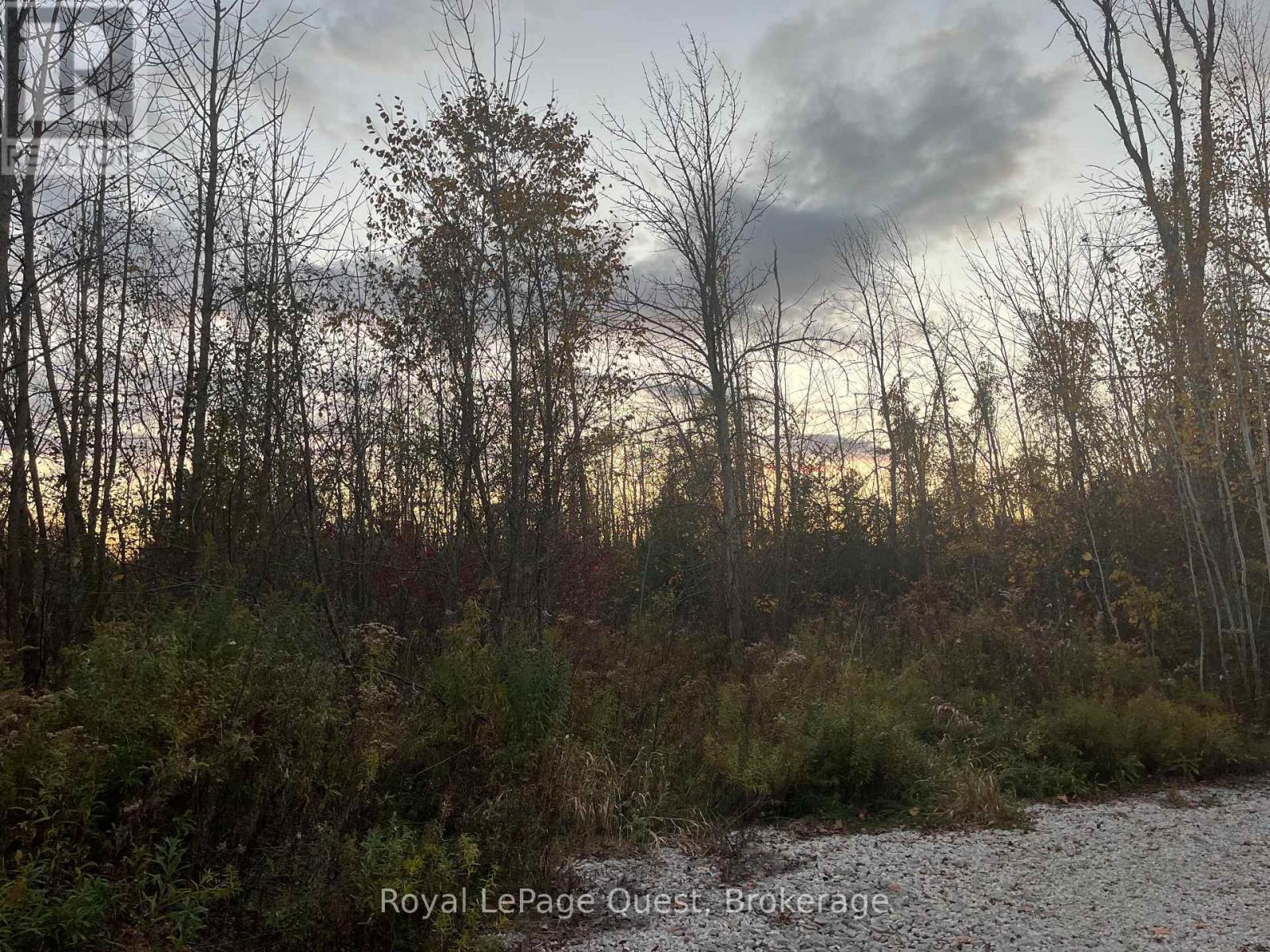 0 Park Rd Park, Georgina (Sutton & Jackson's Point), Ontario  L0E 1R0 - Photo 4 - N14031990