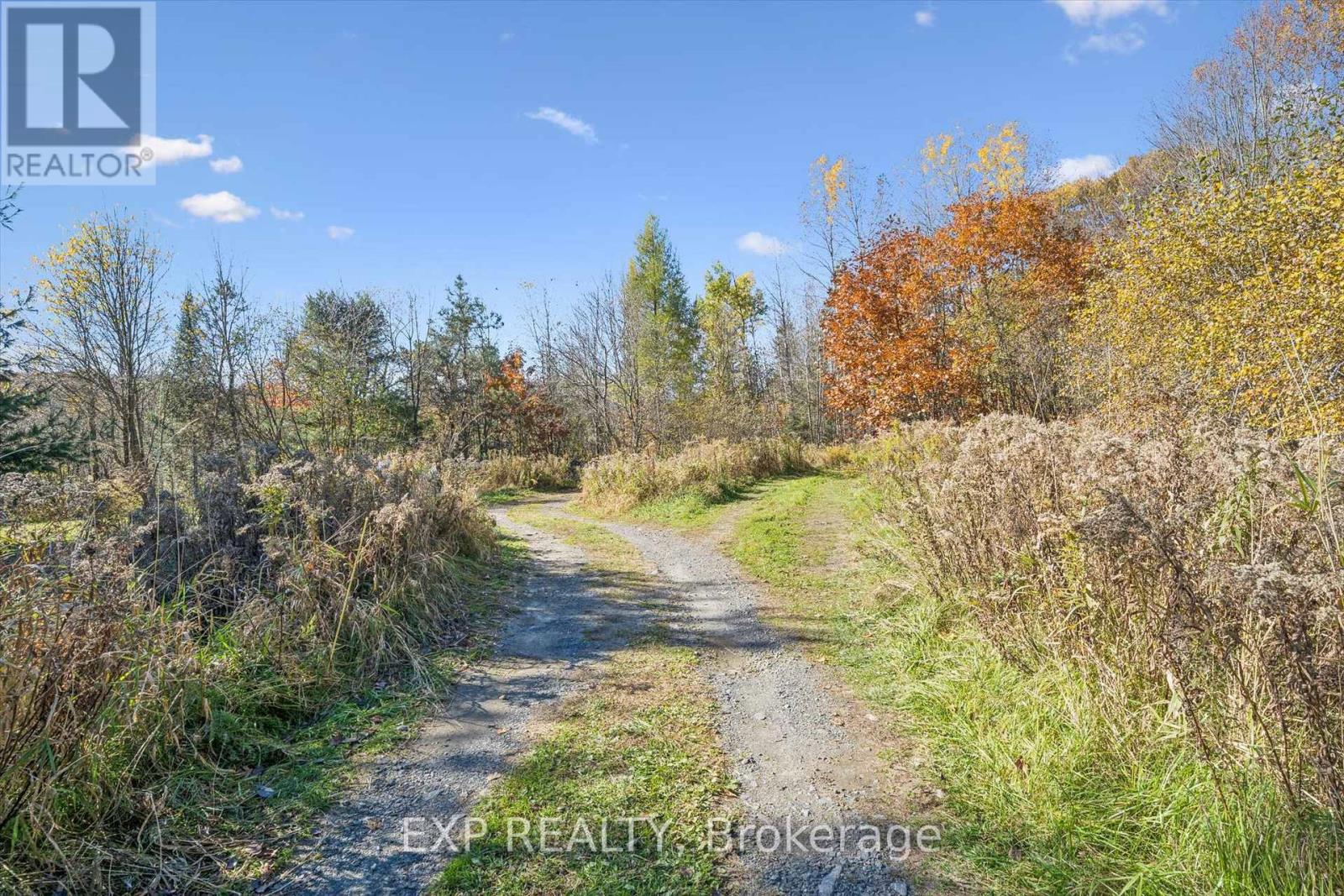 982 Raymond Road, Muskoka Lakes, Ontario  P0B 1M0 - Photo 8 - X14109322