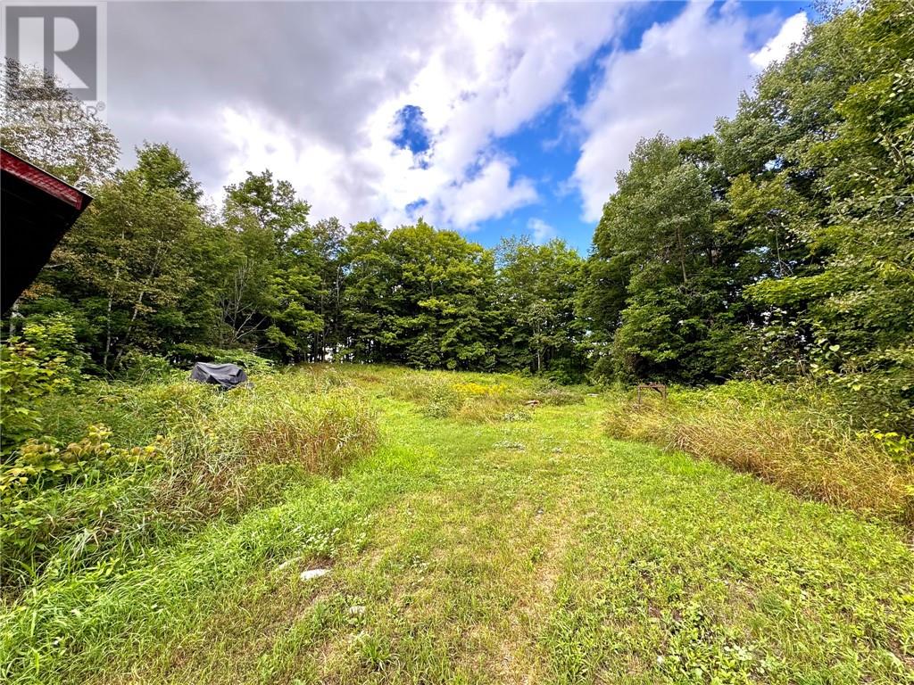187 Cress Road, Mindemoya, Ontario  P0P 1S0 - Photo 73 - 2131032