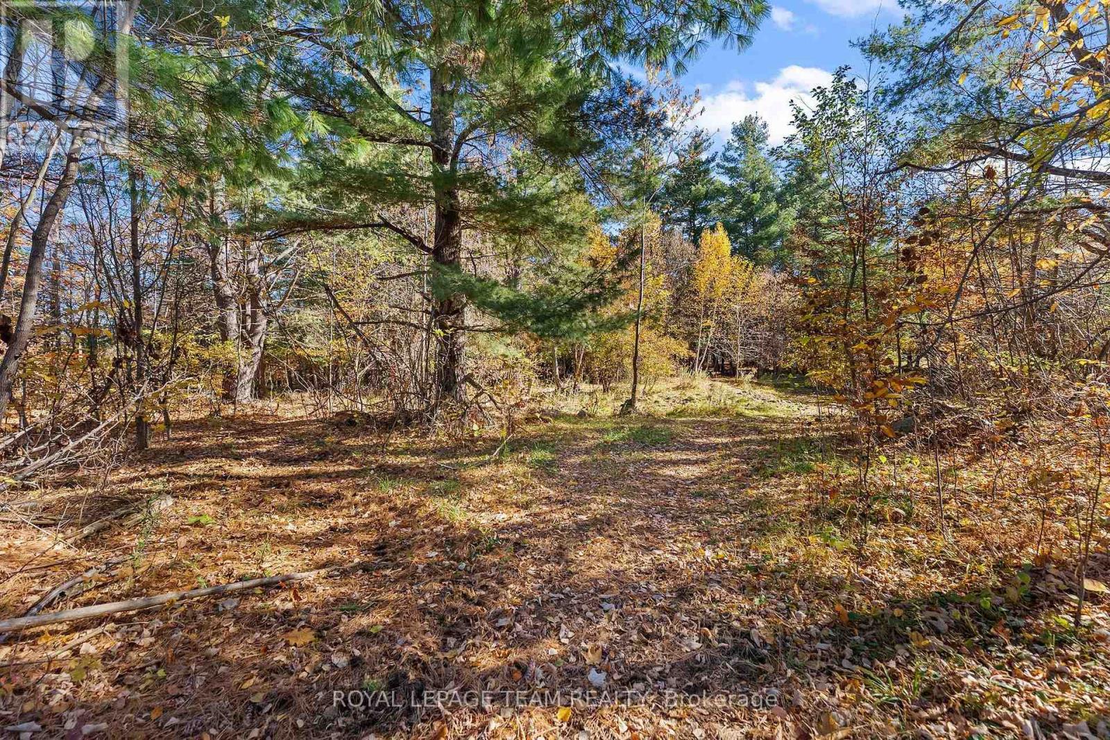 16 Royal Pines Road, North Algona Wilberforce, Ontario  K0J 1T0 - Photo 35 - X14109340