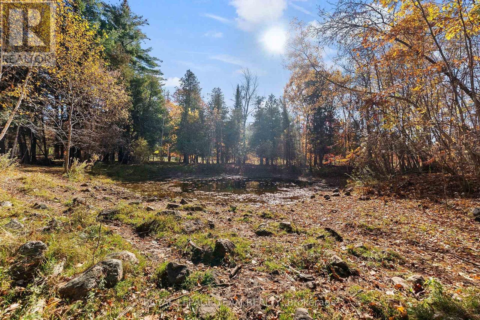 16 Royal Pines Road, North Algona Wilberforce, Ontario  K0J 1T0 - Photo 36 - X14109340