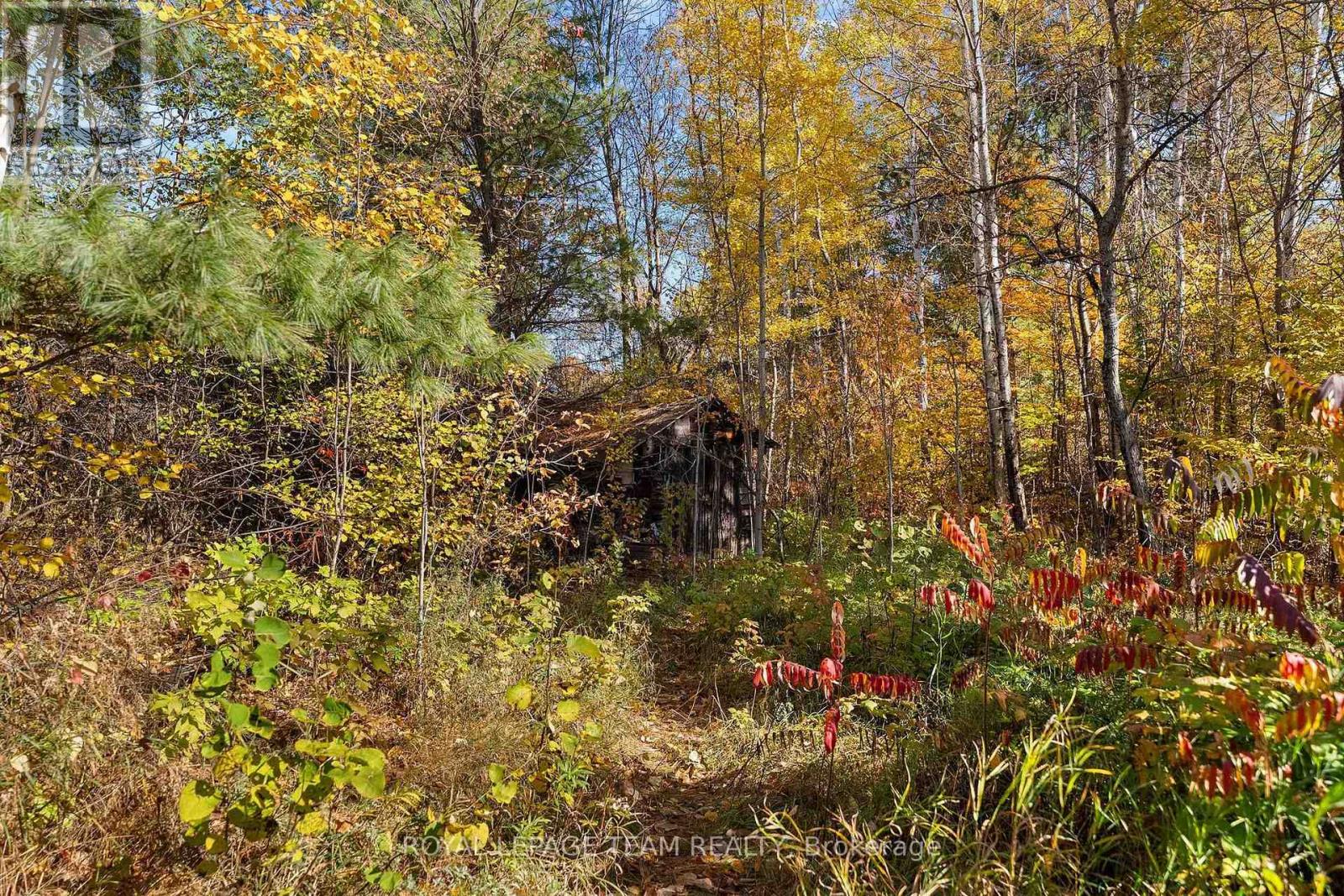 16 Royal Pines Road, North Algona Wilberforce, Ontario  K0J 1T0 - Photo 40 - X14109340