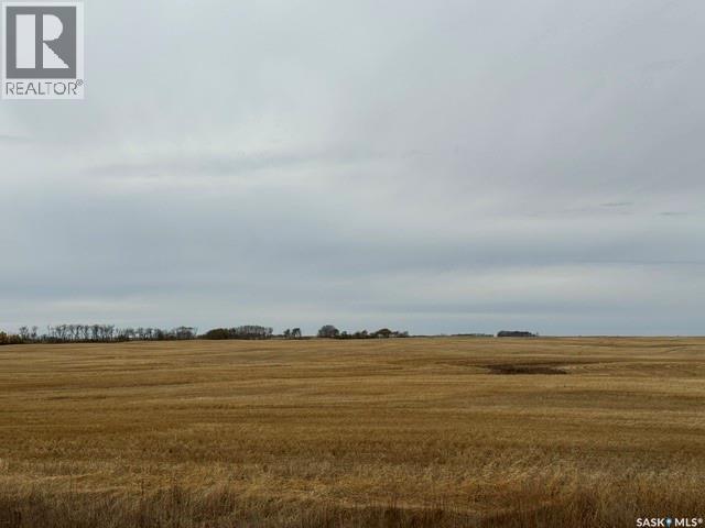 Leroy Farmland, Leroy Rm No. 339, Saskatchewan  S0K 2P0 - Photo 16 - SK051793