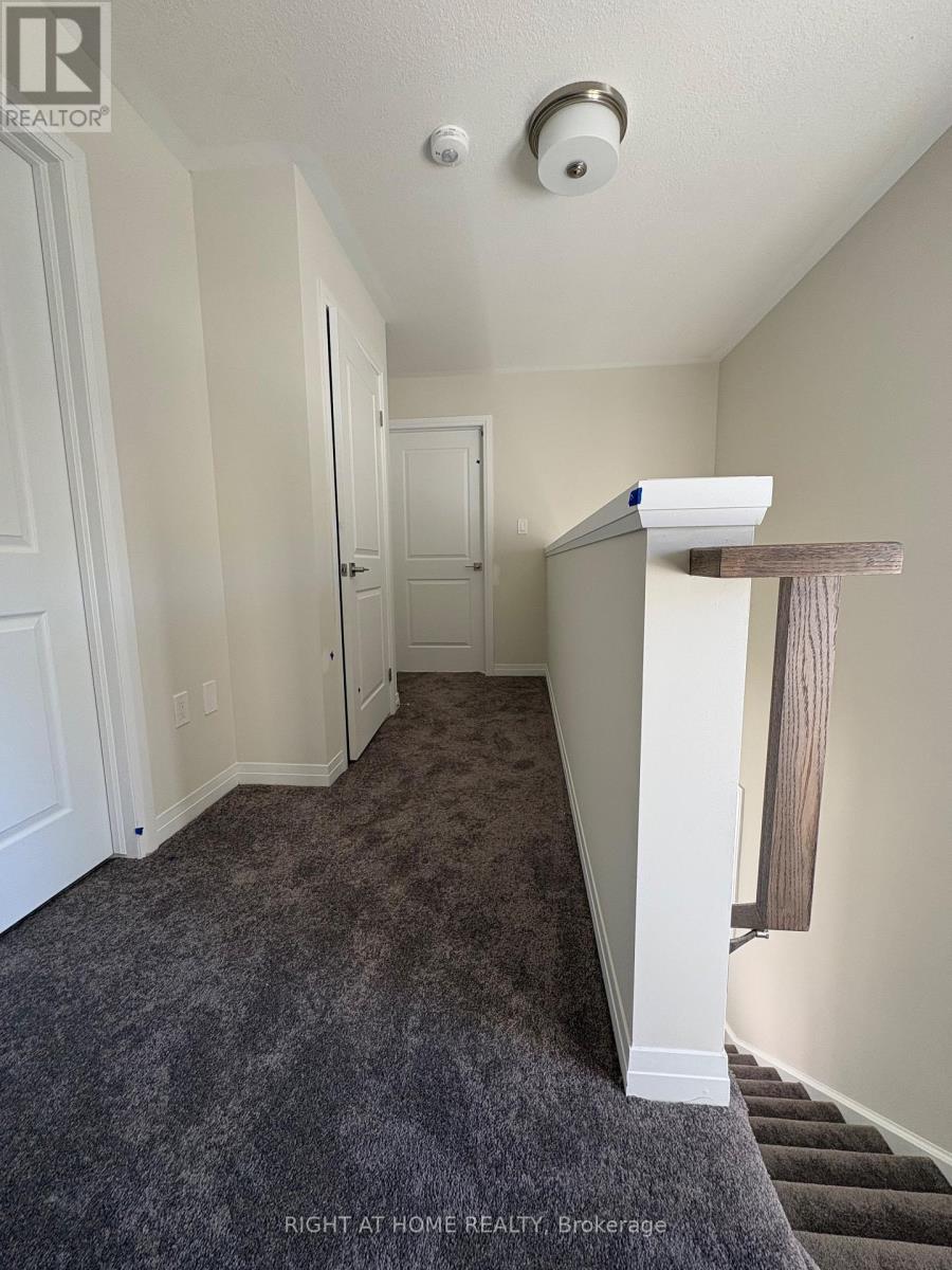 660 Colborne St Street W, Brantford, Ontario  N3T 0Y7 - Photo 9 - X14109770