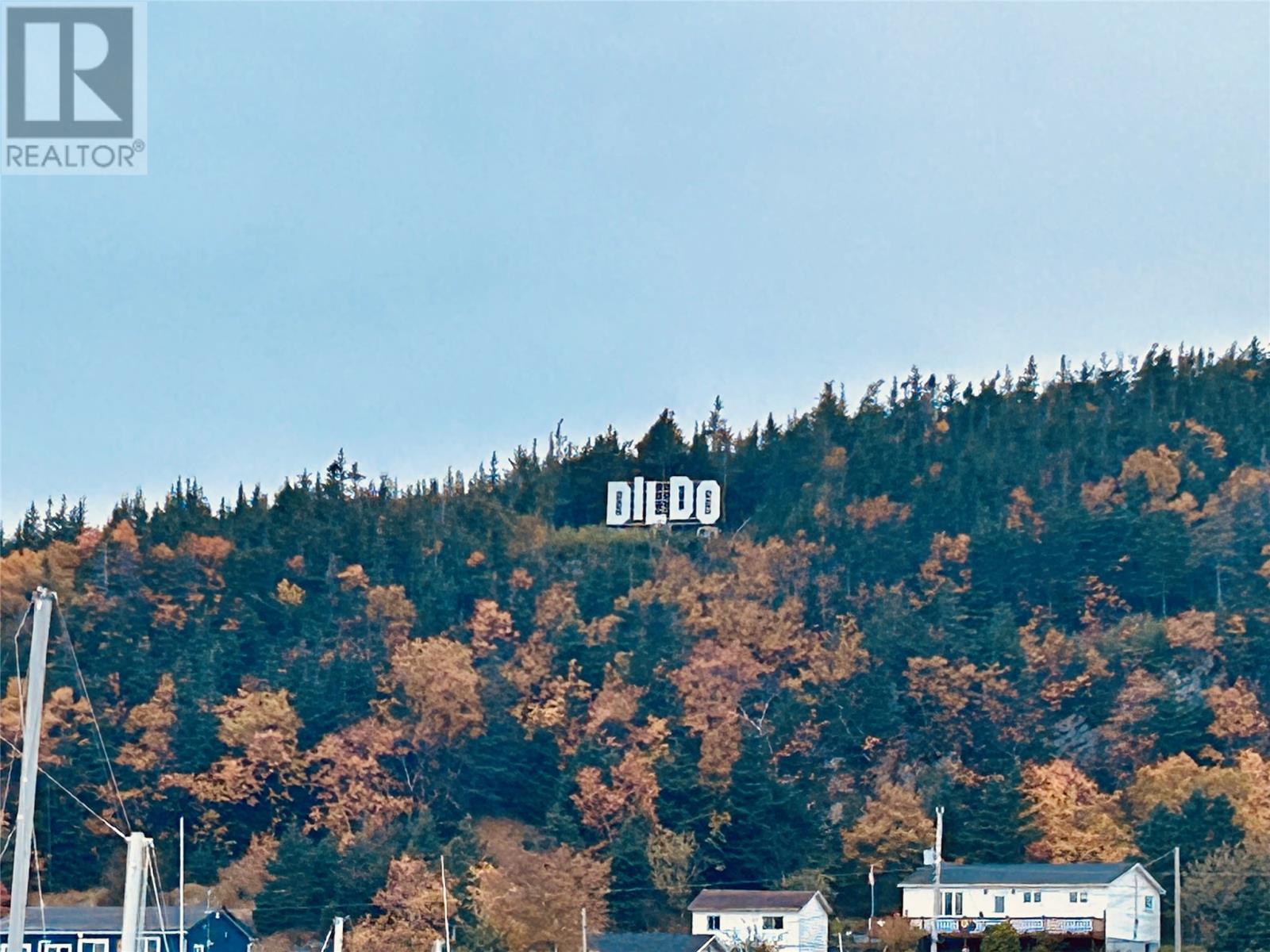 5 Hill Road, Dildo — photo 12