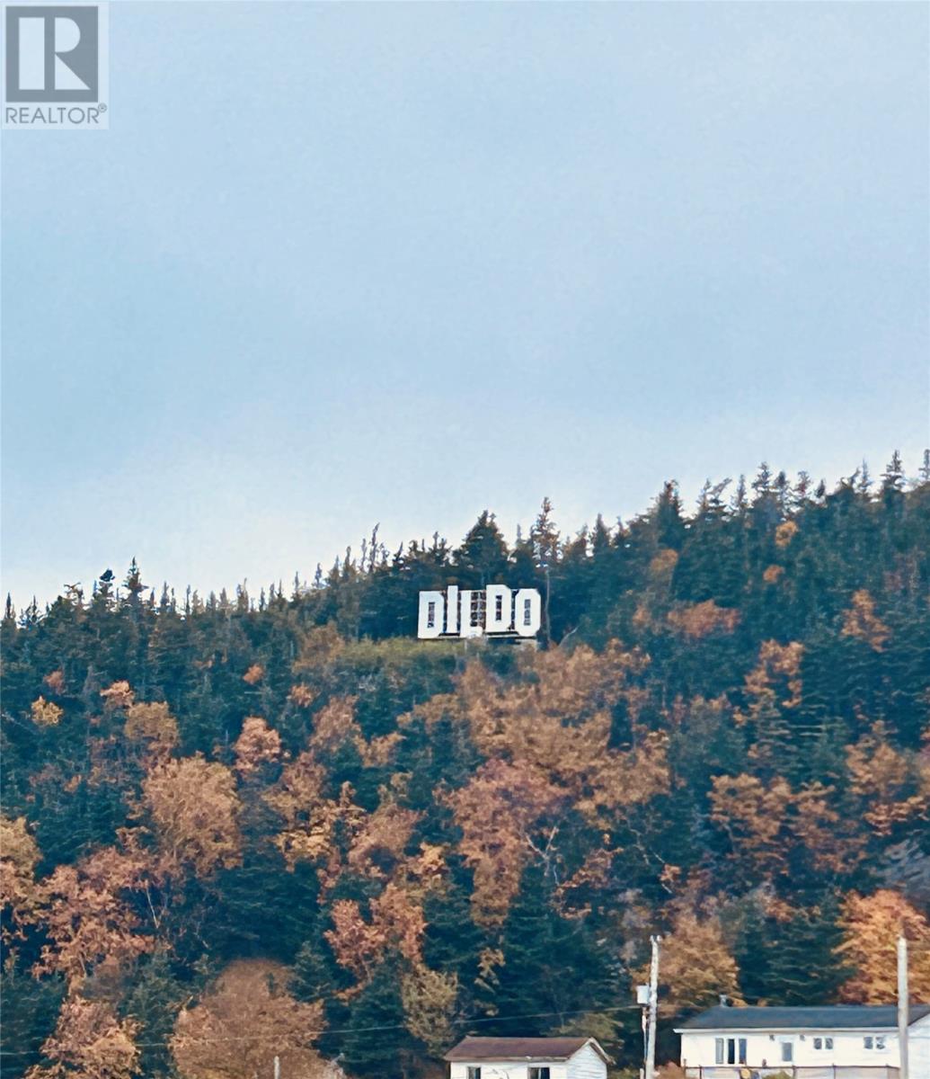 5 Hill Road, Dildo — photo 16
