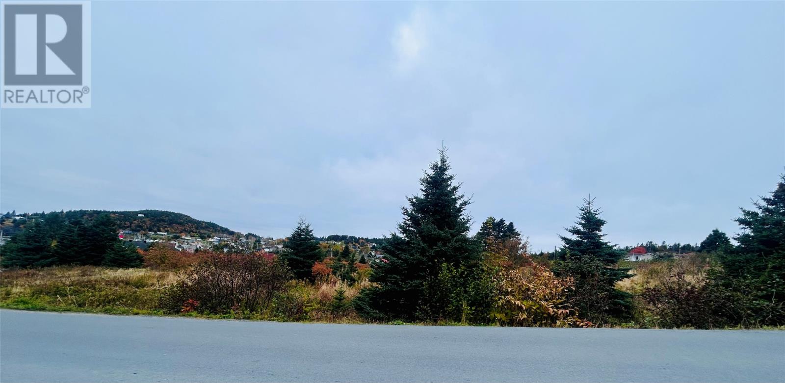 5 Hill Road, Dildo — photo 9