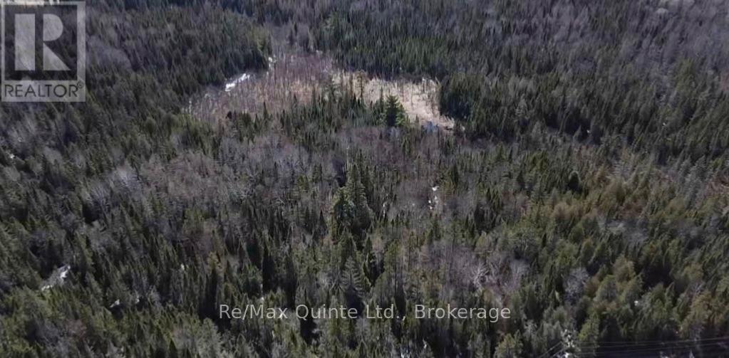 0 Highway 62, Hastings Highlands, Ontario  K0L 1S0 - Photo 2 - X14109846