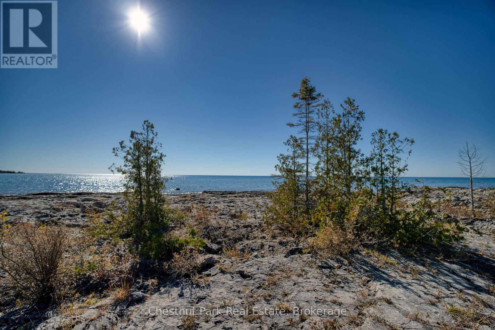 1112 Dorcas Bay Road, Northern Bruce Peninsula, Ontario  N0H 1Z0 - Photo 23 - X14110008