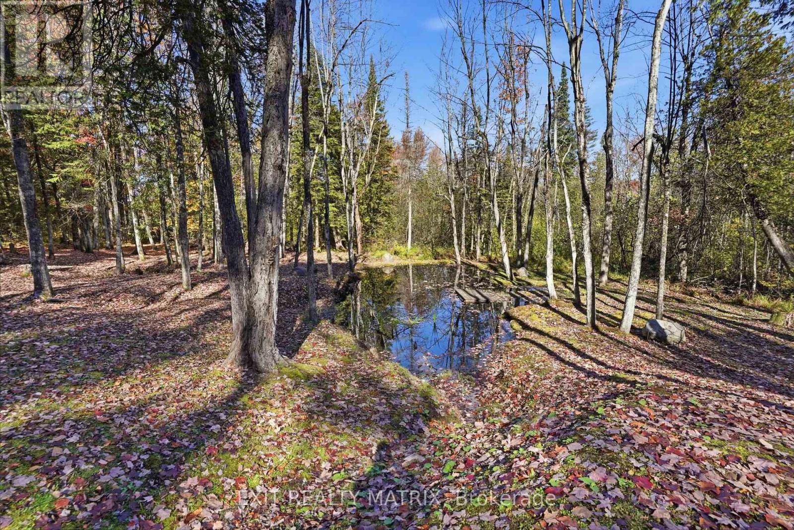 0000 Sandy Hill Road, Champlain, Ontario  K6A 2R2 - Photo 13 - X14110130