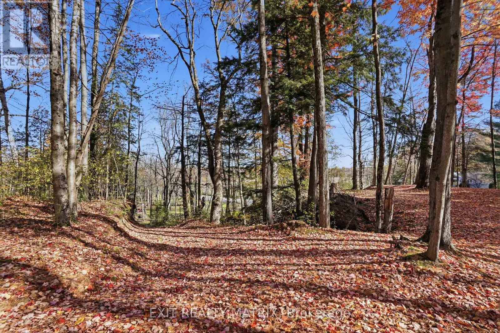 0000 Sandy Hill Road, Champlain, Ontario  K6A 2R2 - Photo 9 - X14110130
