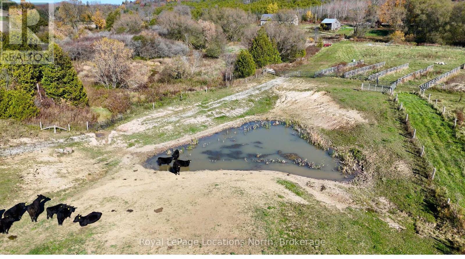 137662 Grey Road 12, Meaford, Ontario  N4L 1W6 - Photo 40 - X14110240