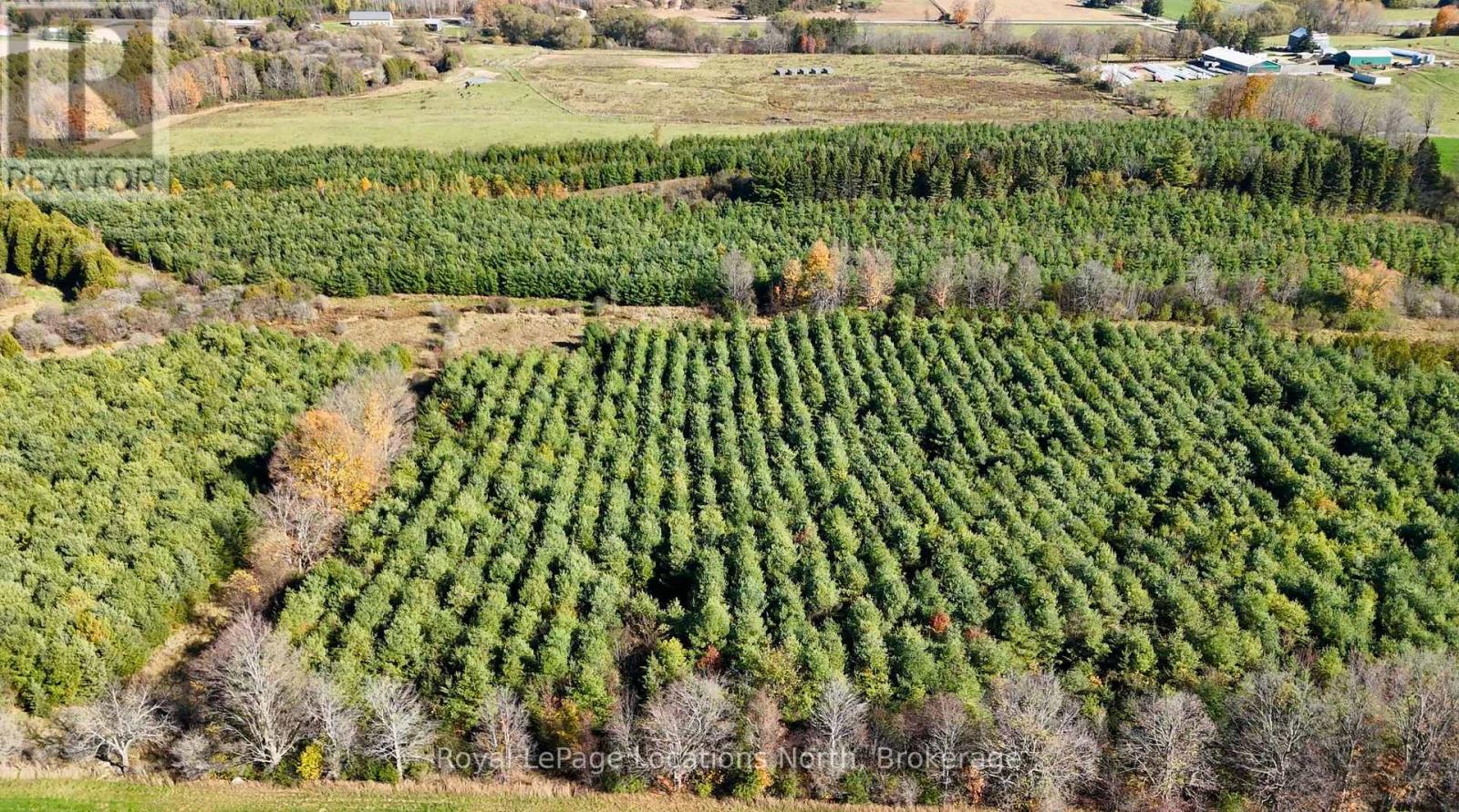 137662 Grey Road 12, Meaford, Ontario  N4L 1W6 - Photo 43 - X14110326