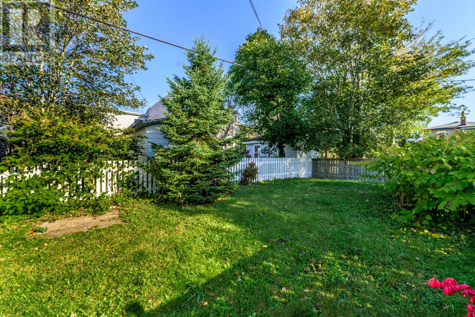 38 Smith Avenue, St. John's — photo 35