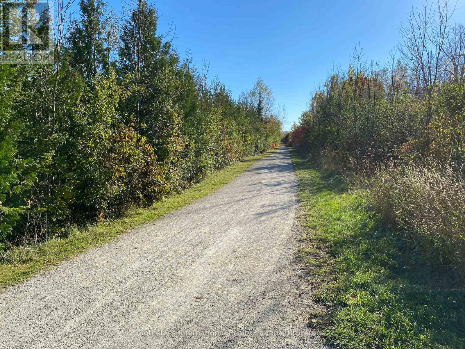 12 Harbour Street W, Collingwood, Ontario  L9Y 5B4 - Photo 11 - S14110592