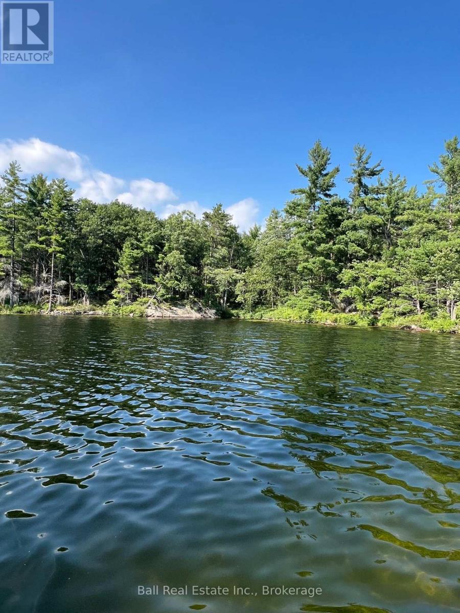 0 Long Lake Wao, Havelock-Belmont-Methuen, Ontario  K0L 1Z0 - Photo 13 - X14110714
