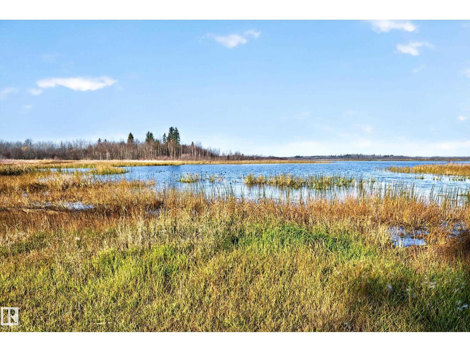 241 51268 Rge Rd 204, Rural Strathcona County, Alberta  T8G 1E9 - Photo 50 - E4513846