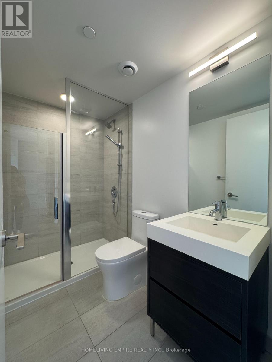 705 - 9 Tecumseth Street, Toronto, Ontario  M5V 3G4 - Photo 4 - C14110730