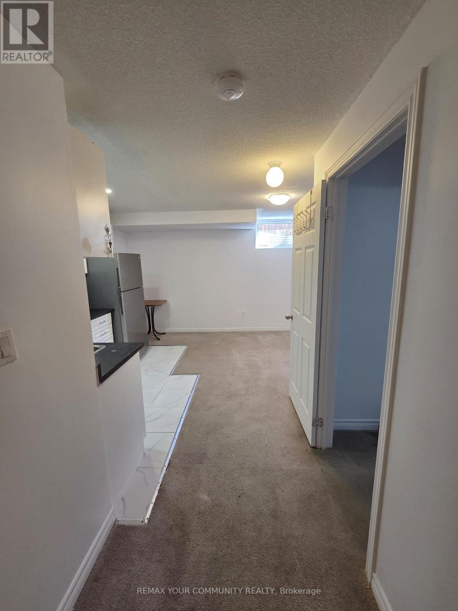 Basement - 510 Downes Jackson Heights, Milton, Ontario  L9T 8W2 - Photo 5 - W14110700