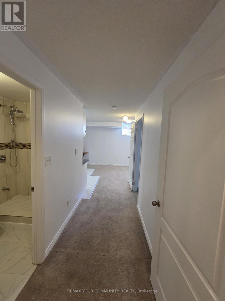 Basement - 510 Downes Jackson Heights, Milton, Ontario  L9T 8W2 - Photo 6 - W14110700