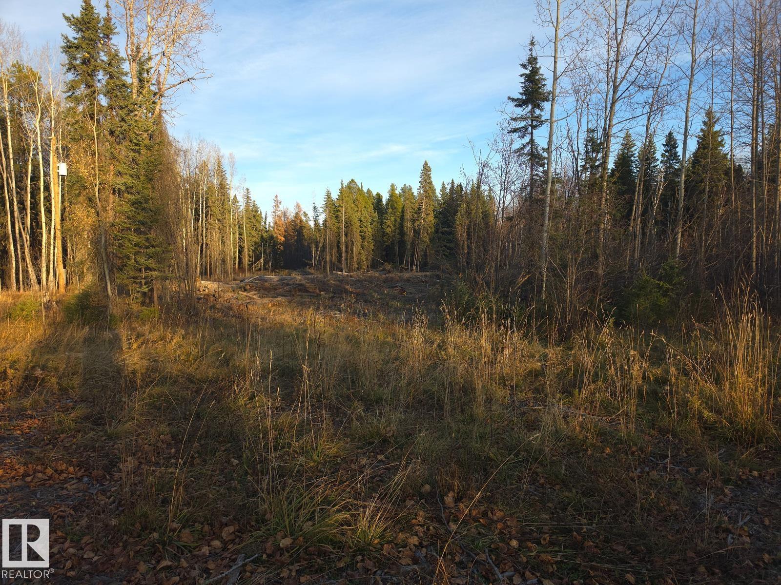Rr 85 Township Rd 482, Rural Brazeau County, Alberta  T7A 2A3 - Photo 4 - E4514006