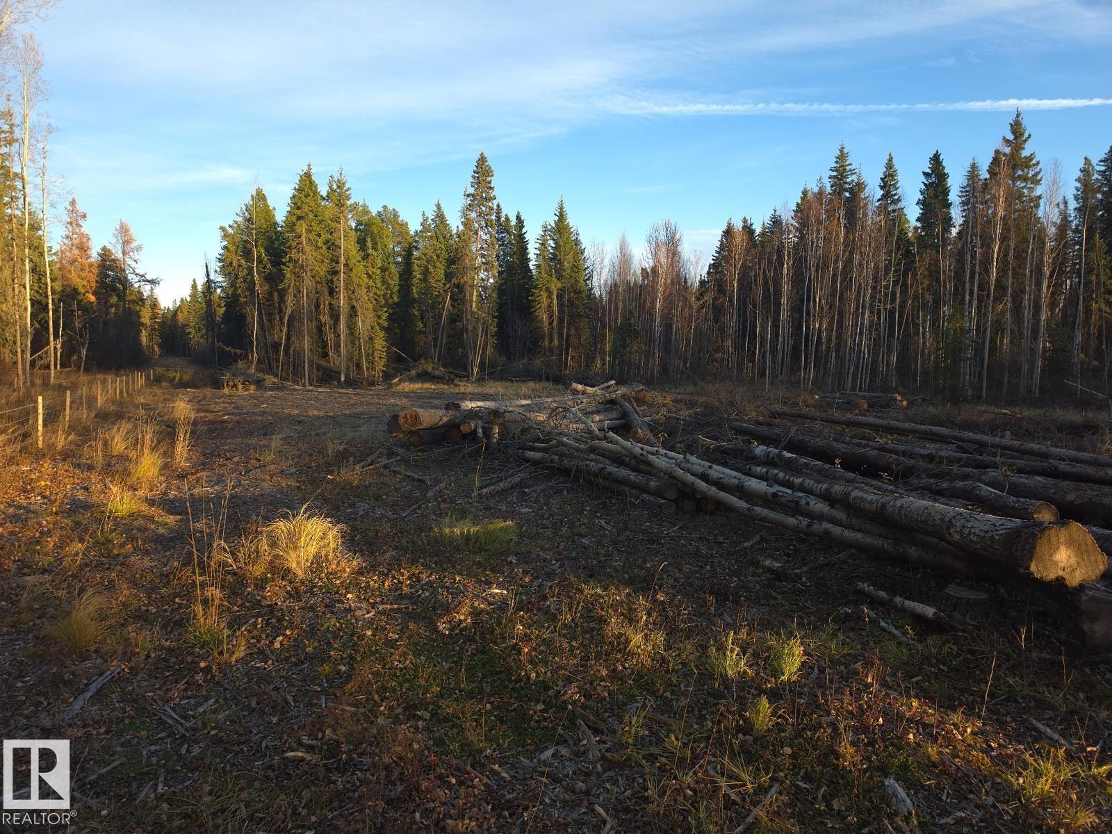 Rr 85 Township Rd 482, Rural Brazeau County, Alberta  T7A 2A3 - Photo 6 - E4514006