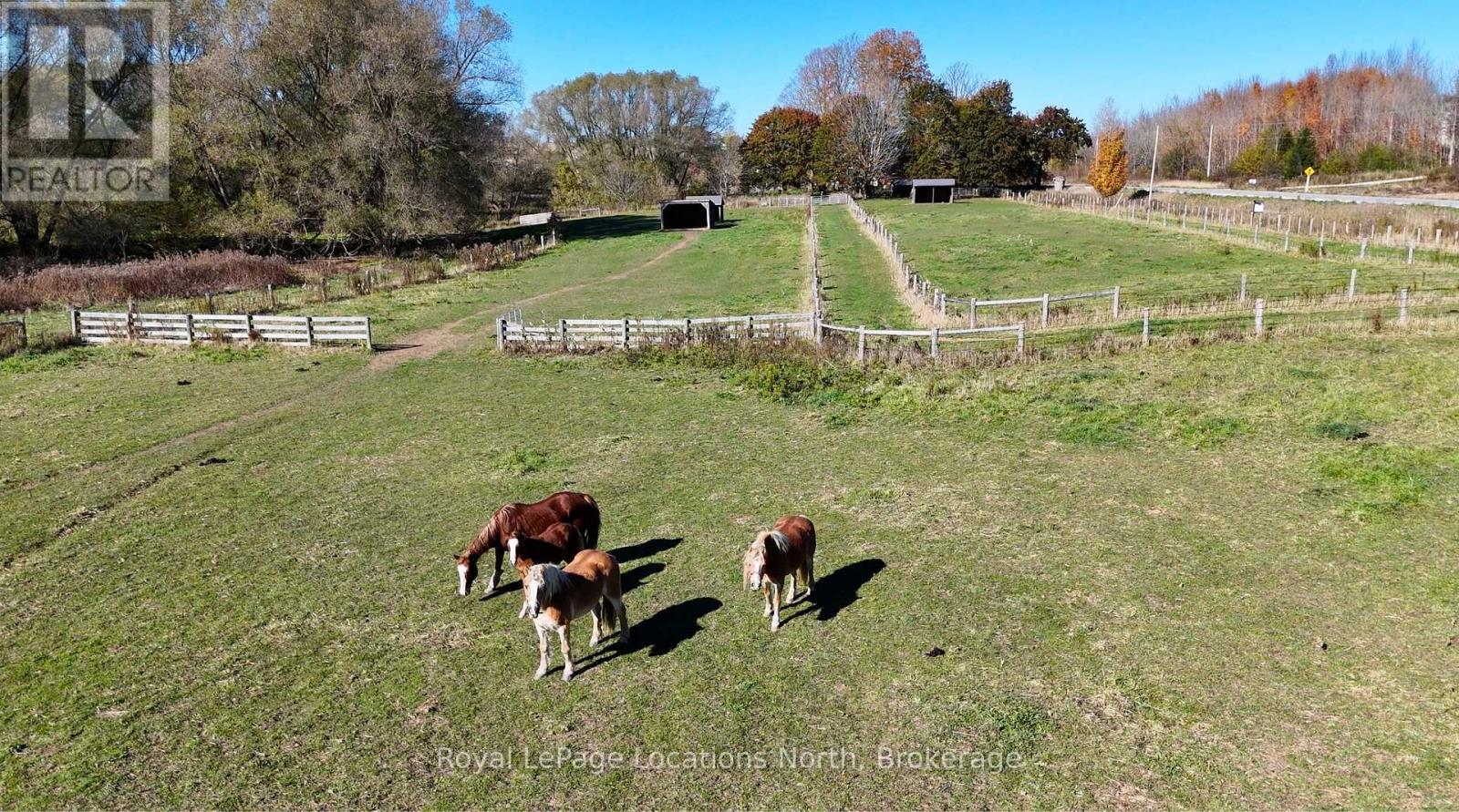 137662 Grey Road 12, Meaford, Ontario  N4L 1W6 - Photo 32 - X14110326