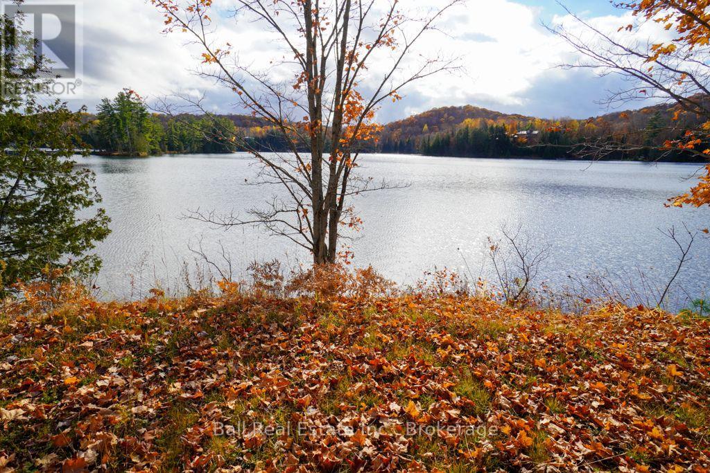 233 Trout Lake Road, Faraday, Ontario  K0L 1C0 - Photo 22 - X14111184