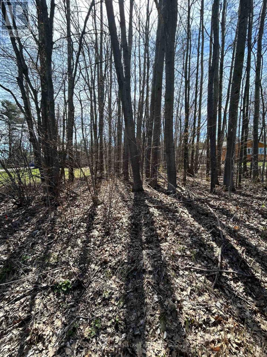 0 Poplar Drive, Hamilton Township, Ontario  K0L 1E0 - Photo 2 - X14111226