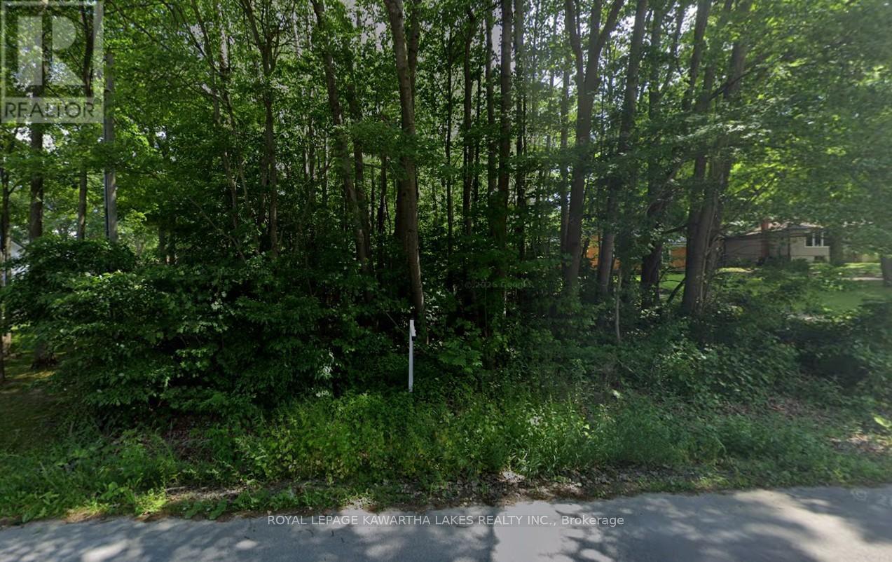 0 Poplar Drive, Hamilton Township, Ontario  K0L 1E0 - Photo 3 - X14111226