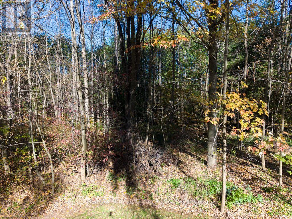187 Pellisier Street, Grey Highlands, Ontario  N0C 1E0 - Photo 38 - X14111148