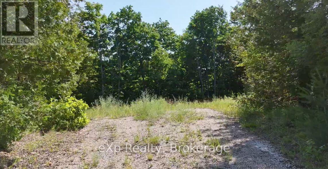 Lot 15 Scotts Hill Road, West Grey, Ontario  N4N 3B9 - Photo 6 - X14111188
