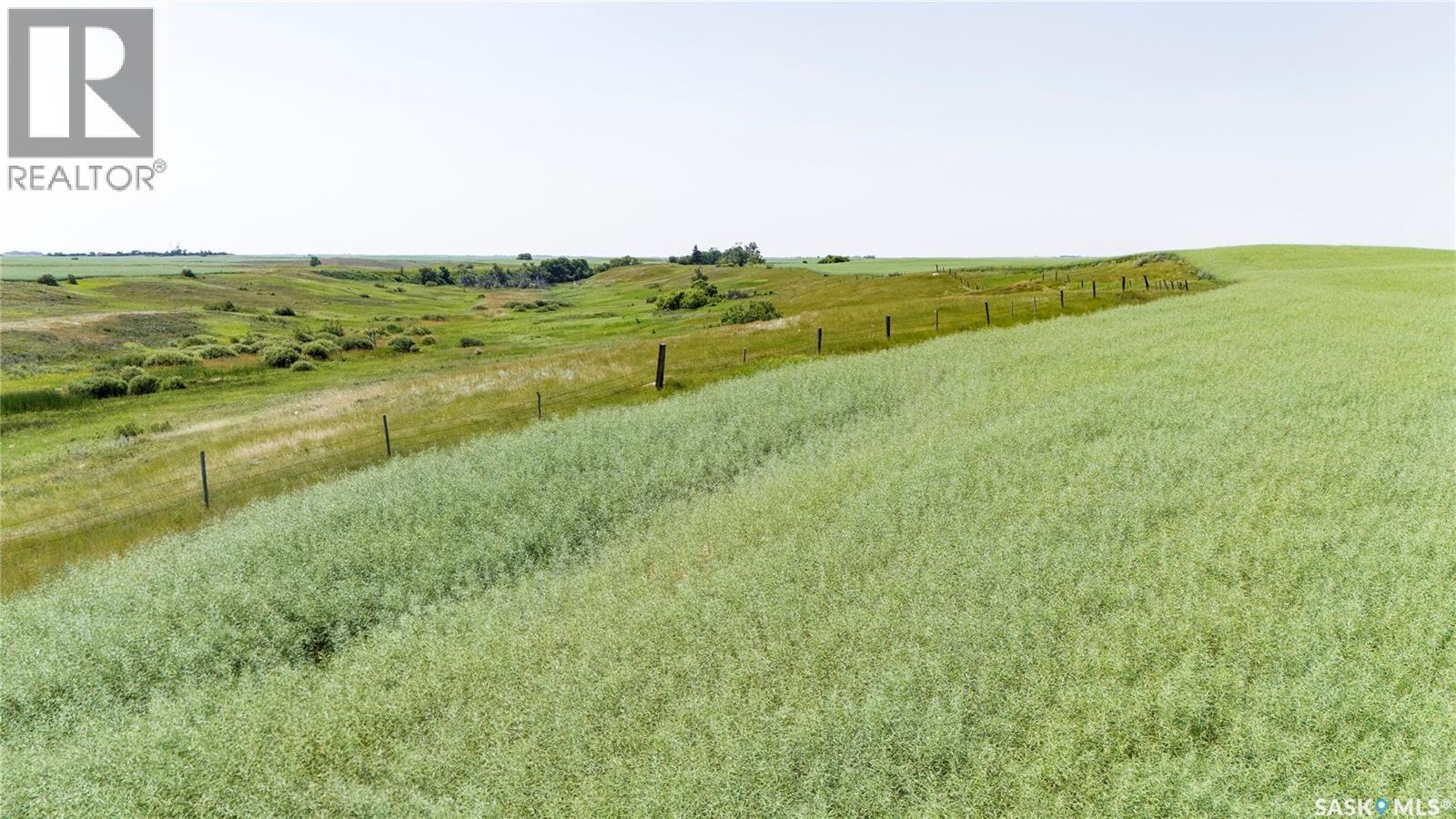 4.8 Quarters Of Grainland Near Dilke, Sk (Flavel), Dilke, Saskatchewan  S0G 1C0 - Photo 5 - SK051753