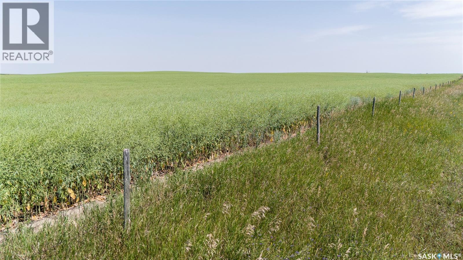 4.8 Quarters Of Grainland Near Dilke, Sk (Flavel), Dilke, Saskatchewan  S0G 1C0 - Photo 9 - SK051753