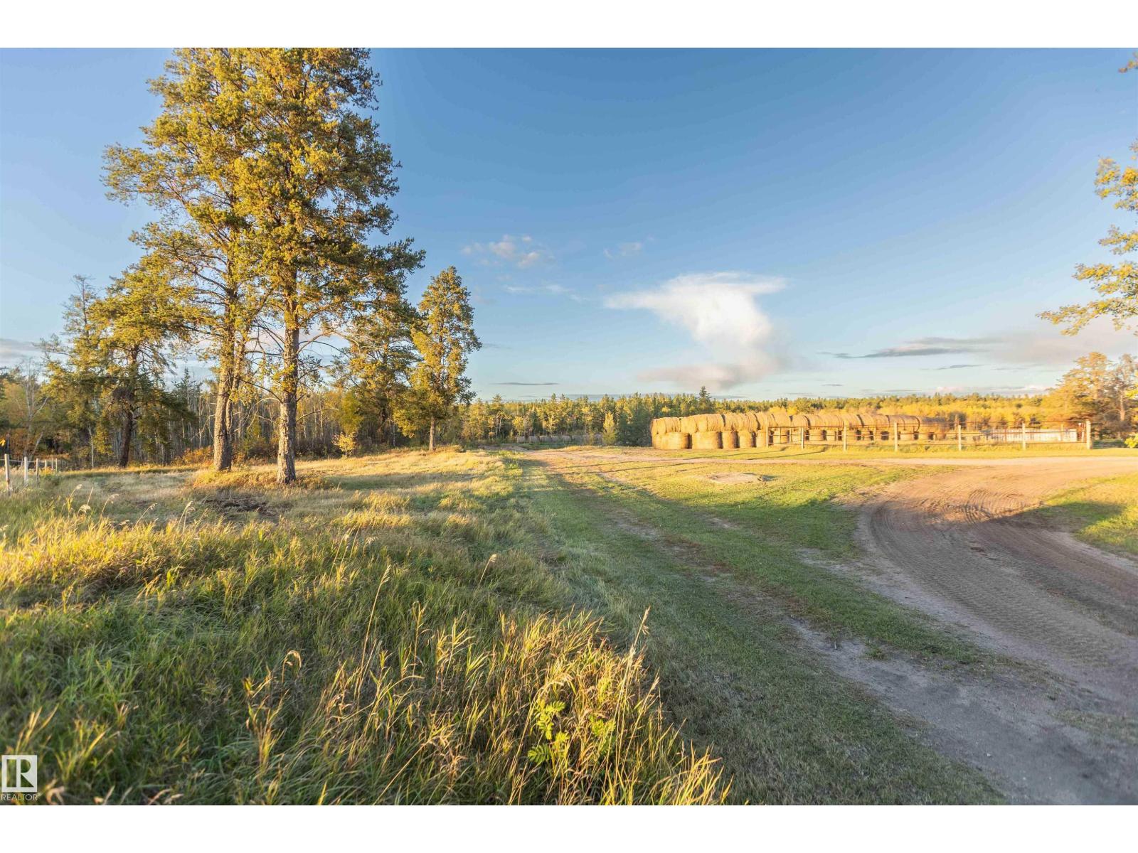 59531 Range Rd 242, Rural Westlock County, Alberta  T0G 0P0 - Photo 12 - E4514007