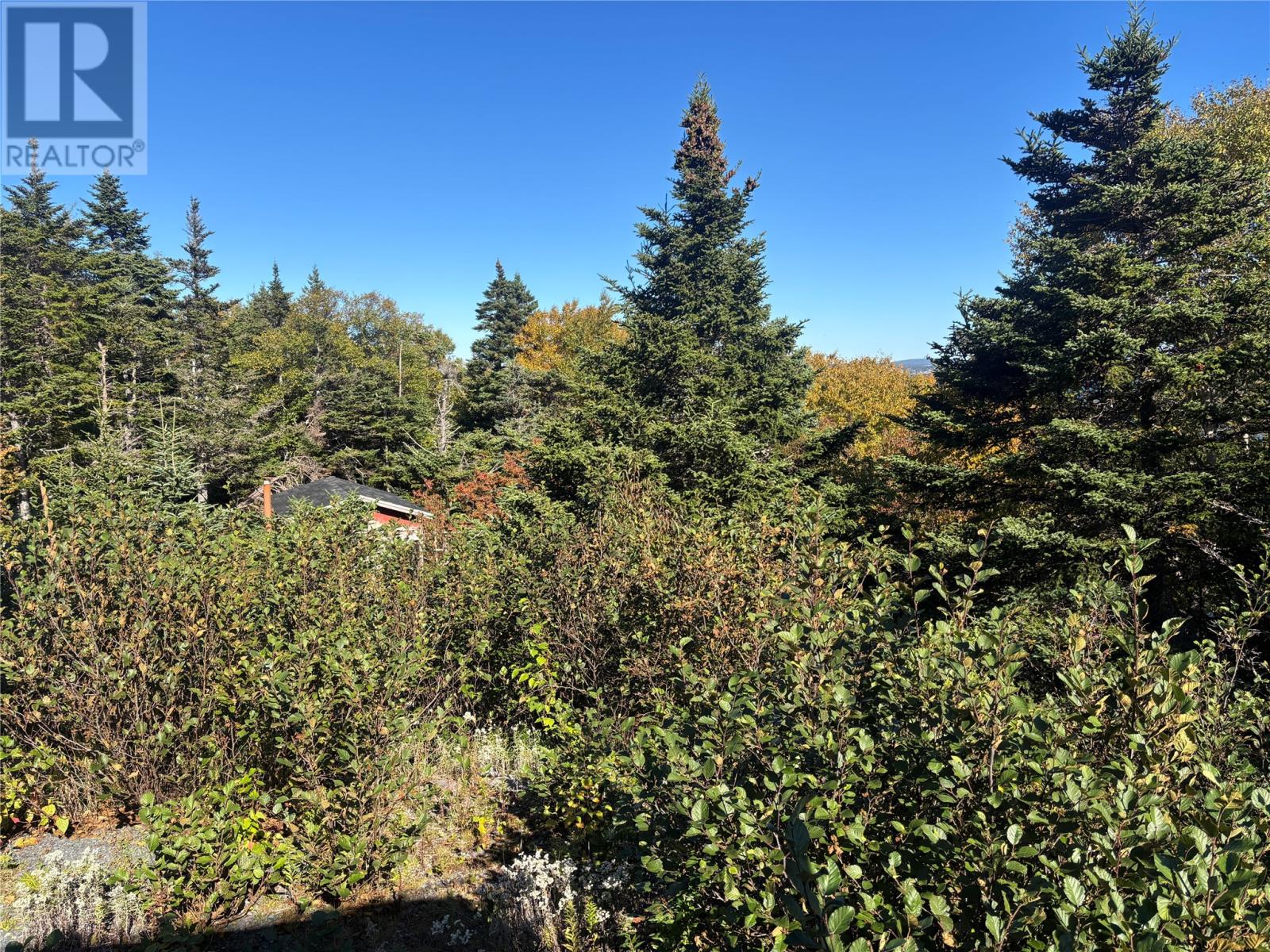 Lot 0 Pikes Road, Spread Eagle — photo 10