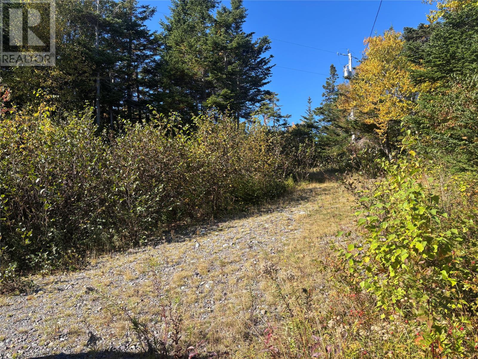 Lot 0 Pikes Road, Spread Eagle — photo 11