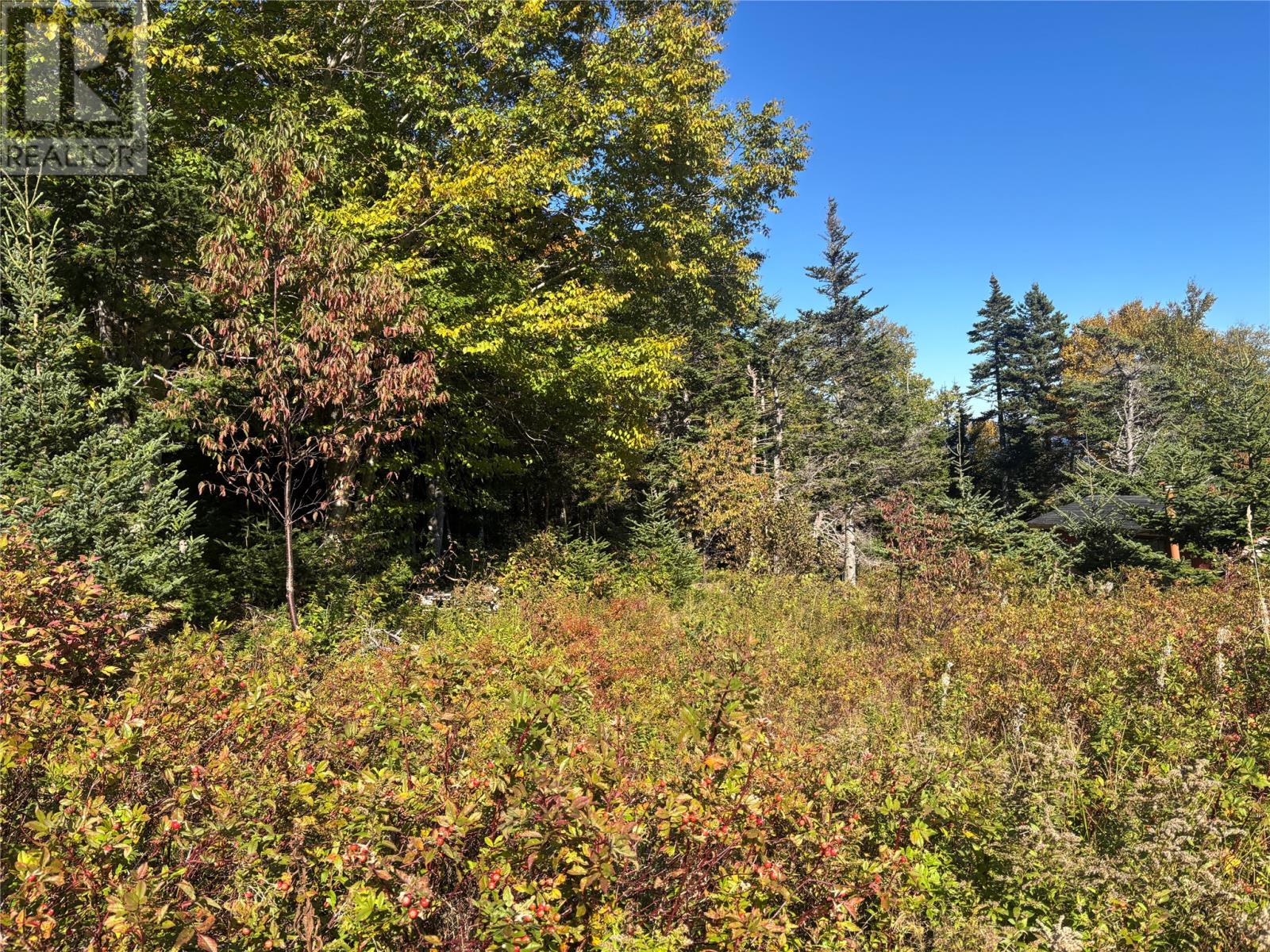 Lot 0 Pikes Road, Spread Eagle — photo 12