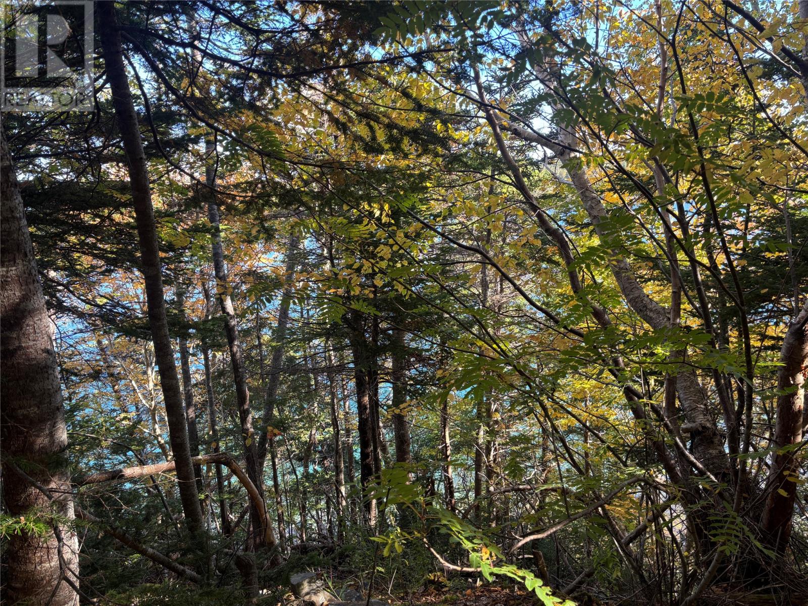 Lot 0 Pikes Road, Spread Eagle — photo 4